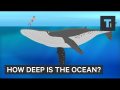 This Incredible Animation Shows How Deep The Ocean Really Is