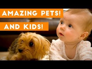 Most Amazing 1 Hour of Cute Kids And Pets